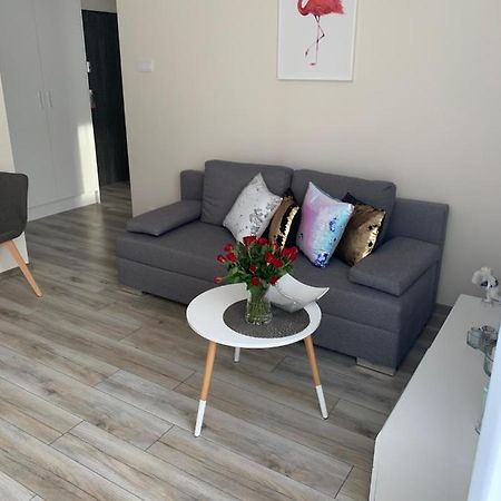 Apartament Walczaka 25 Miejsce Parkingowe غوجوف فييلكوبولسكي المظهر الخارجي الصورة
